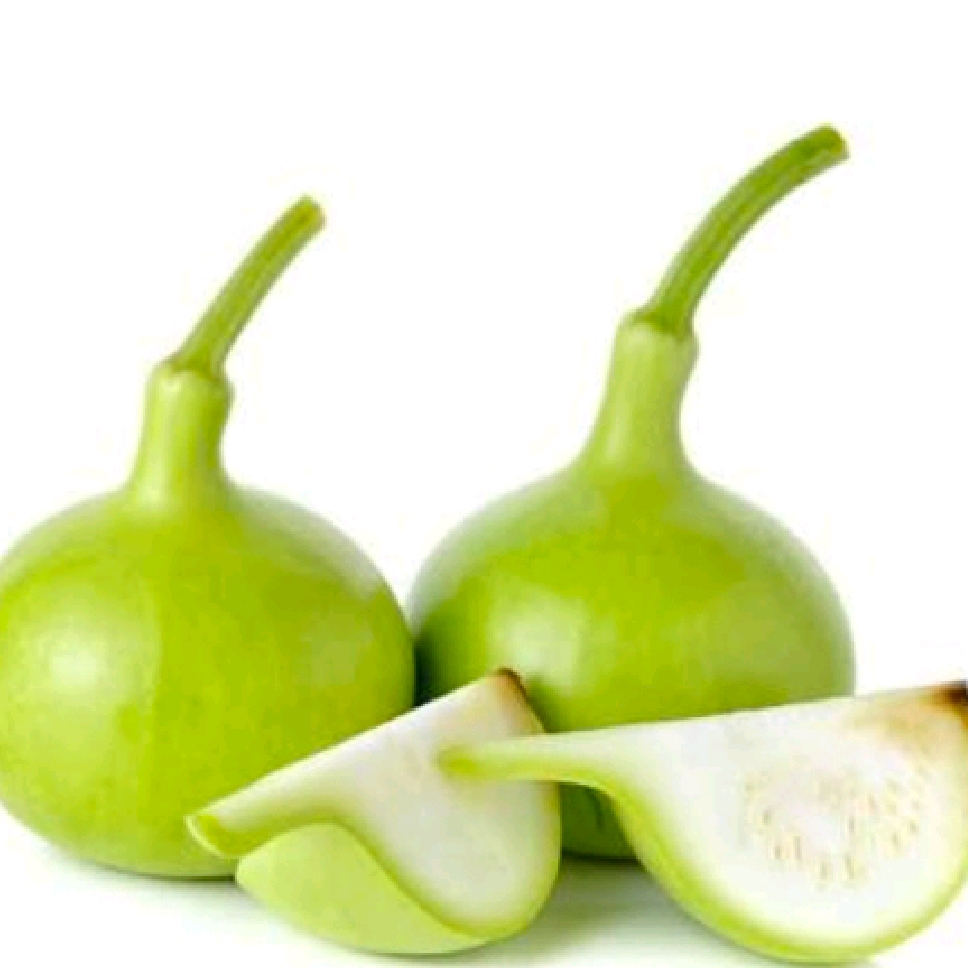 Bottle Gourd Round