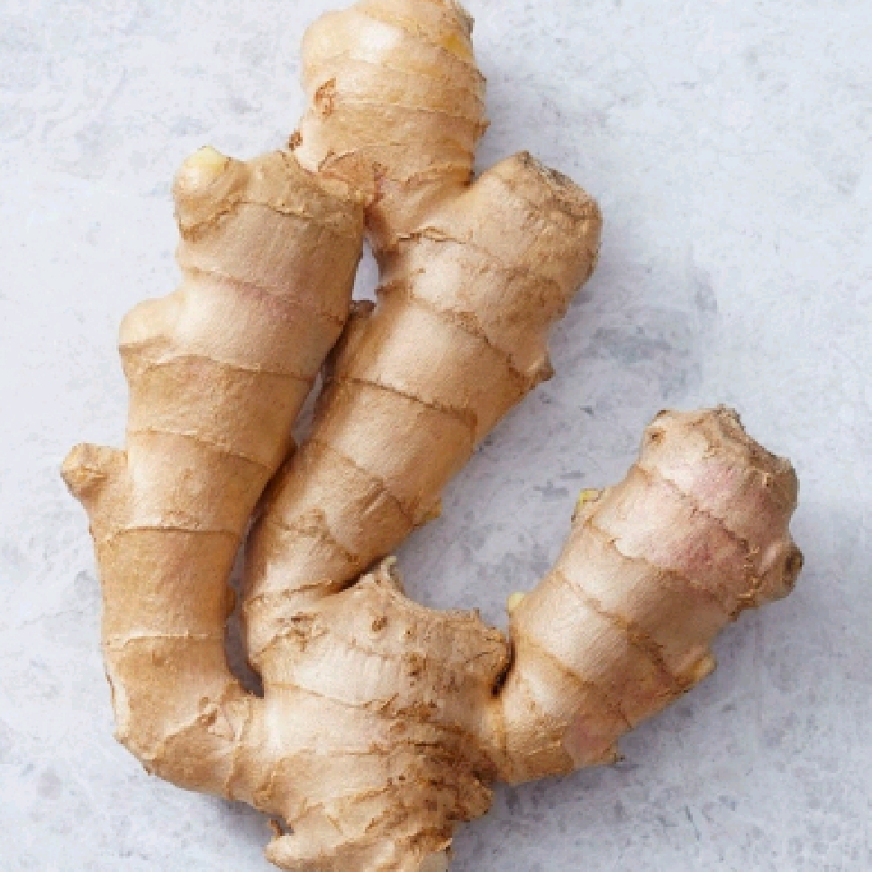 Ginger