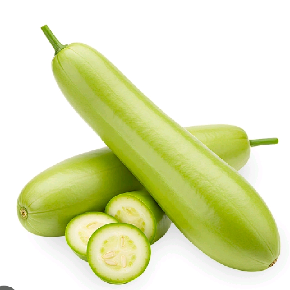 Bottle Gourd Long