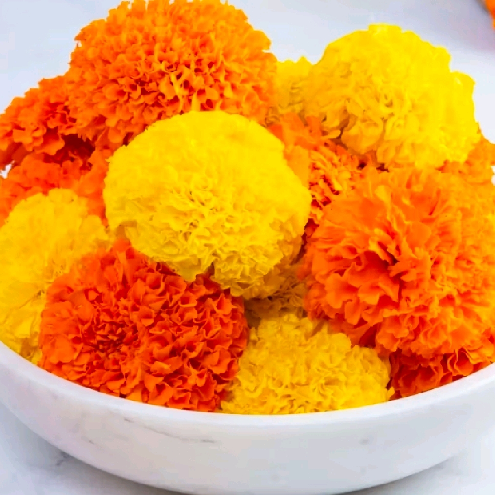 Marigold 100gm