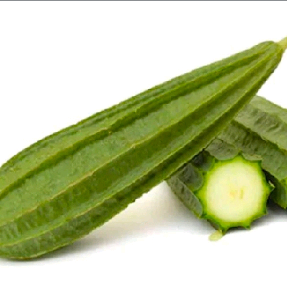 Ridge Gourd